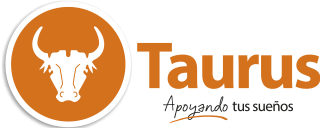 Taurus Car
